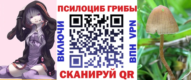 Галлюциногенные грибы Magic Shrooms  Бердск 
