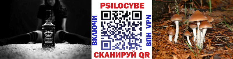 Псилоцибиновые грибы мицелий Бердск