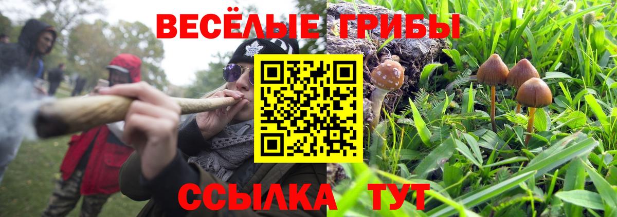 Псилоцибиновые грибы GOLDEN TEACHER Бердск