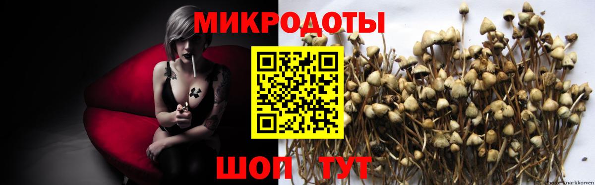 Бердск  Псилоцибиновые грибы Psilocybe  Вход с VPN  Псилоцибиновые грибы прущие грибы 