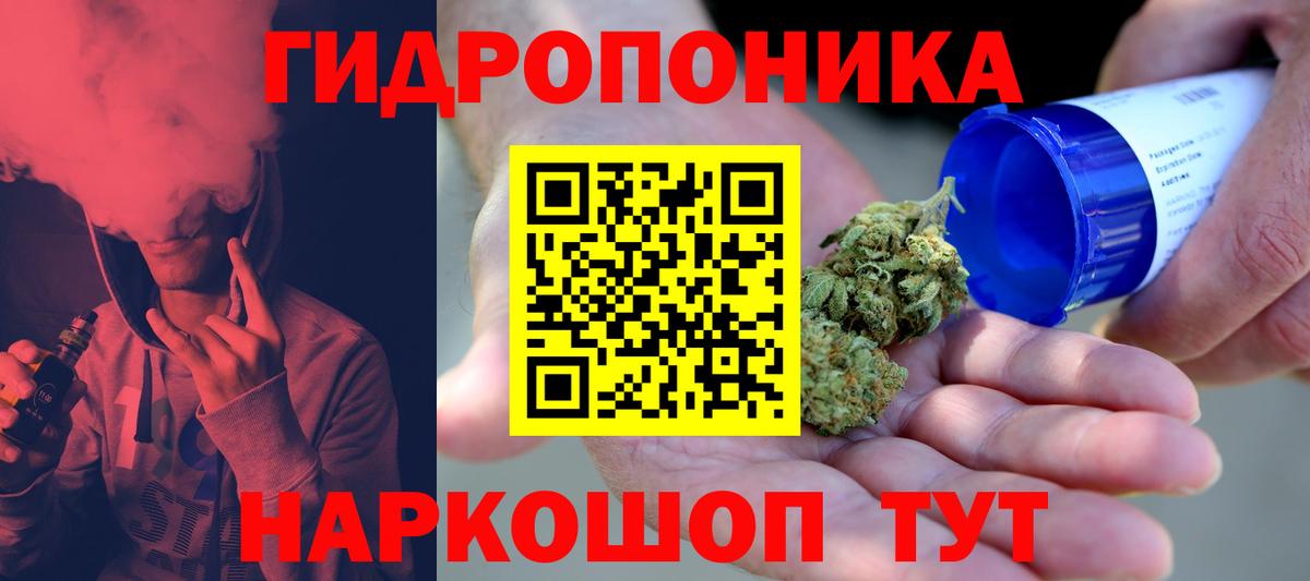 Бошки Шишки OG Kush  Каннабис план  Бердск  Вход с VPN  Канабис семена 